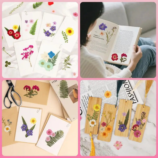 420 Pcs Real Dried Pressed Flowers for Resin