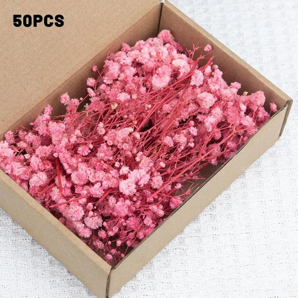 Dried Flowers Mini Natural Fresh Plant Decoration DIY Valentine's Day Wedding New Year Decoration Breath Resin Craft Party Gift