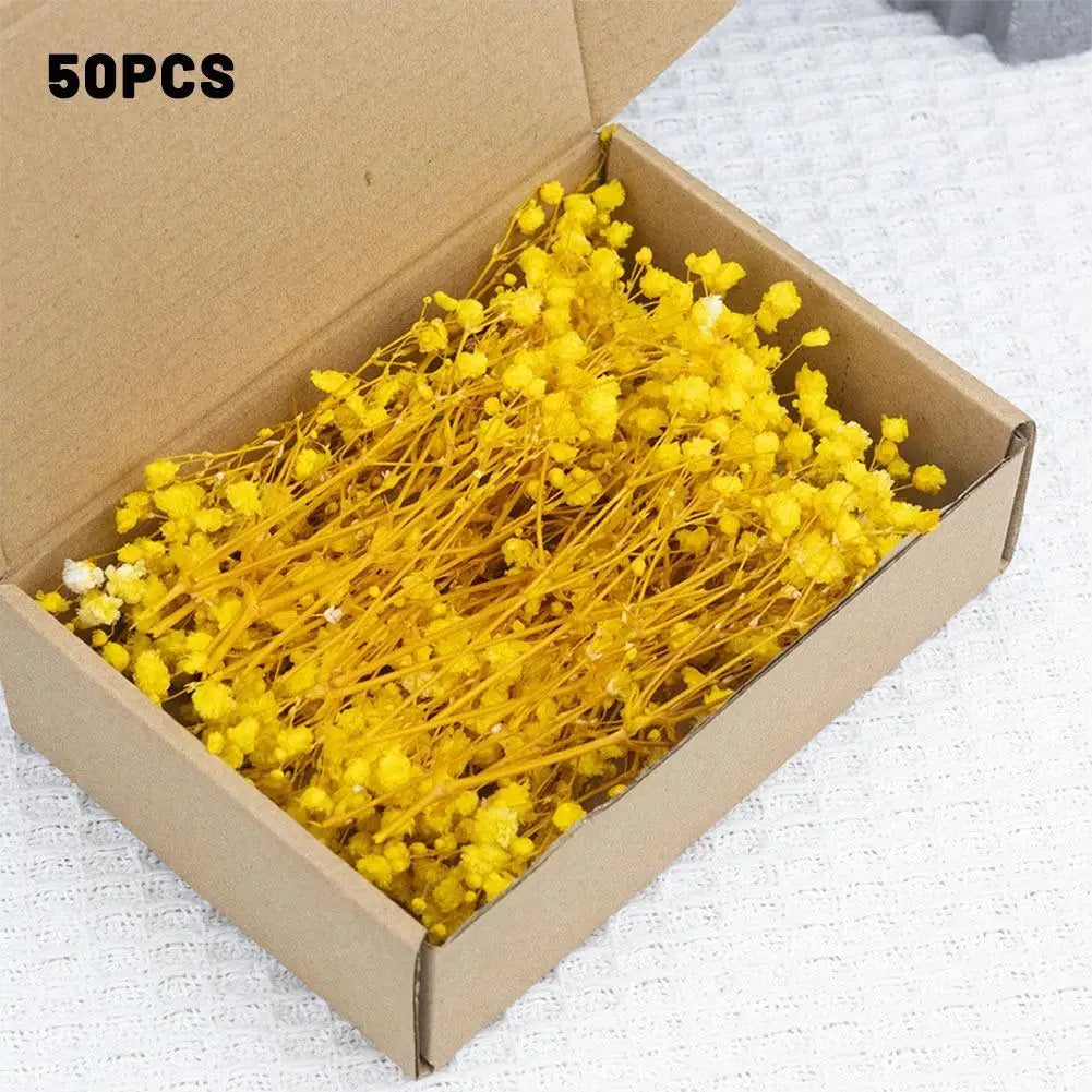 Dried Flowers  Mini Natural Fresh Plant Decoration DIY Valentine's Day Wedding New Year Decoration Breath Resin Craft Party Gift