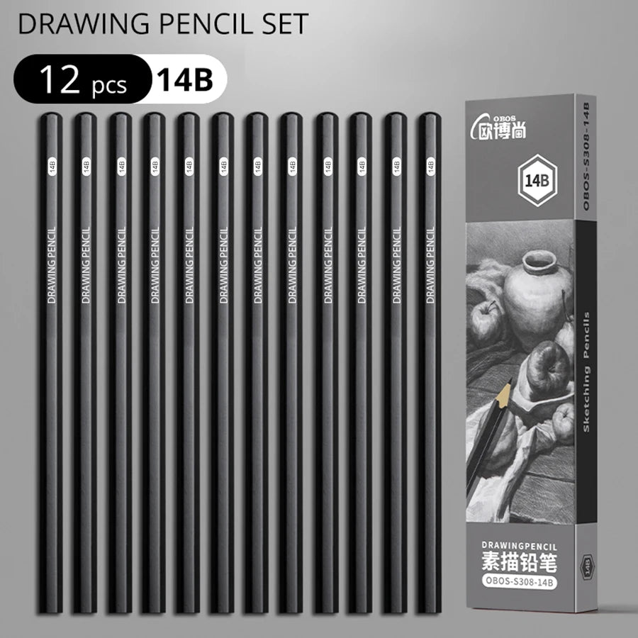 Professional Sketch Drawing Graphite Charcoal Pencils Set