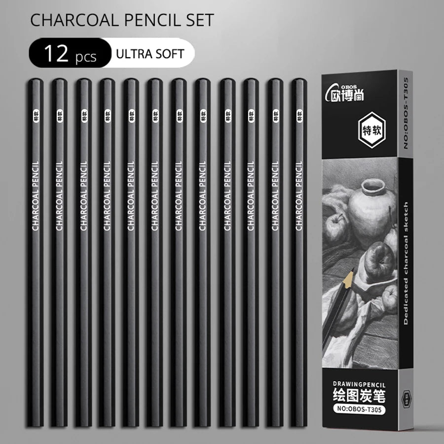 Professional Sketch Drawing Graphite Charcoal Pencils Set