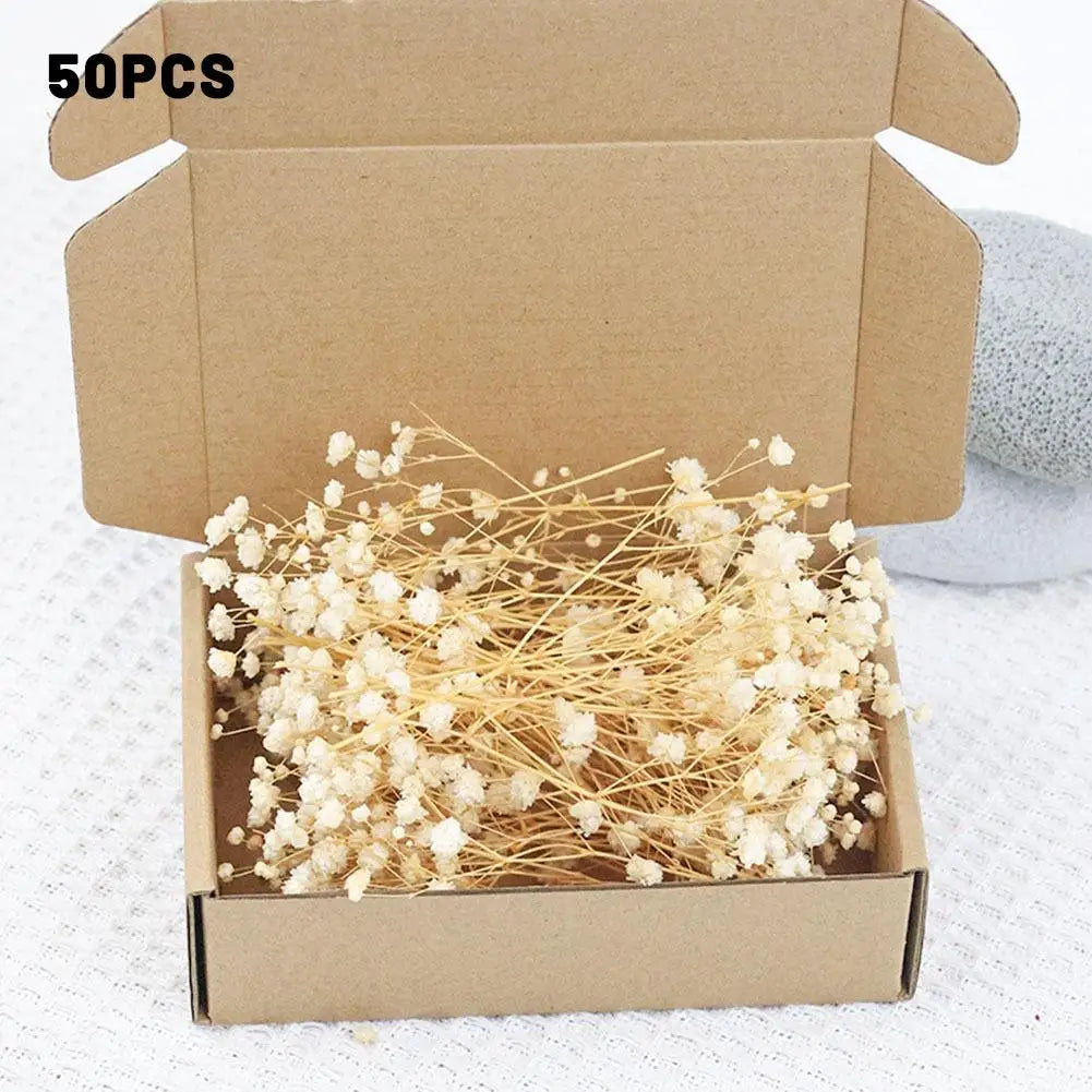 Dried Flowers  Mini Natural Fresh Plant Decoration DIY Valentine's Day Wedding New Year Decoration Breath Resin Craft Party Gift