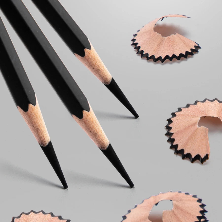 Professional Sketch Drawing Graphite Charcoal Pencils Set