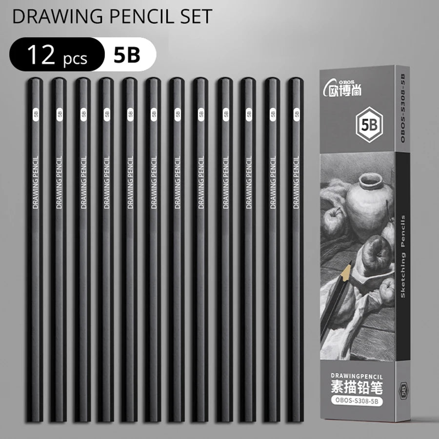 Professional Sketch Drawing Graphite Charcoal Pencils Set