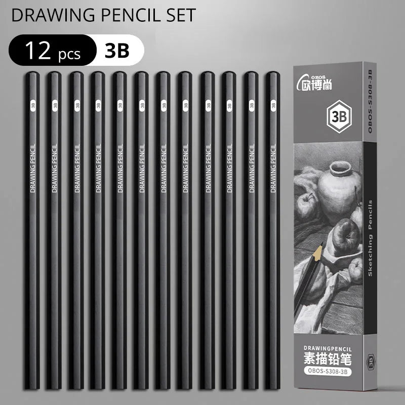 Professional Sketch Drawing Graphite Charcoal Pencils Set