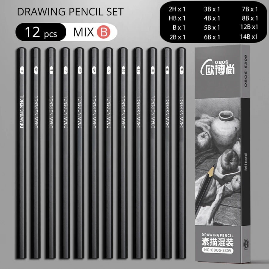 Professional Sketch Drawing Graphite Charcoal Pencils Set