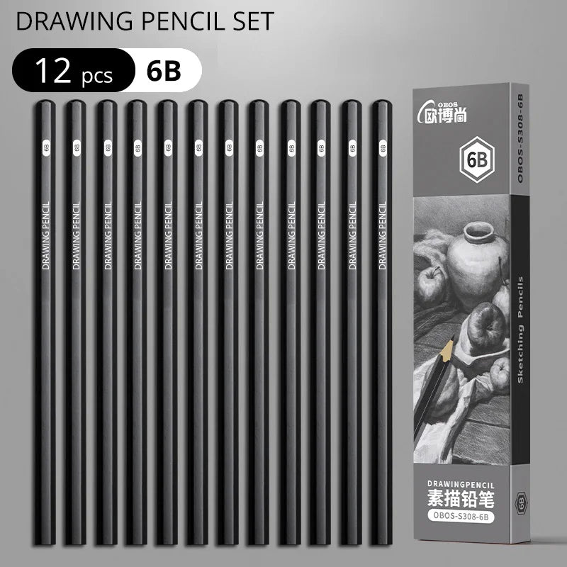 Professional Sketch Drawing Graphite Charcoal Pencils Set