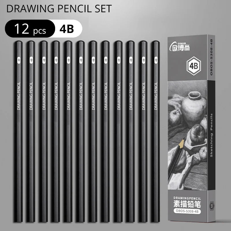 Professional Sketch Drawing Graphite Charcoal Pencils Set