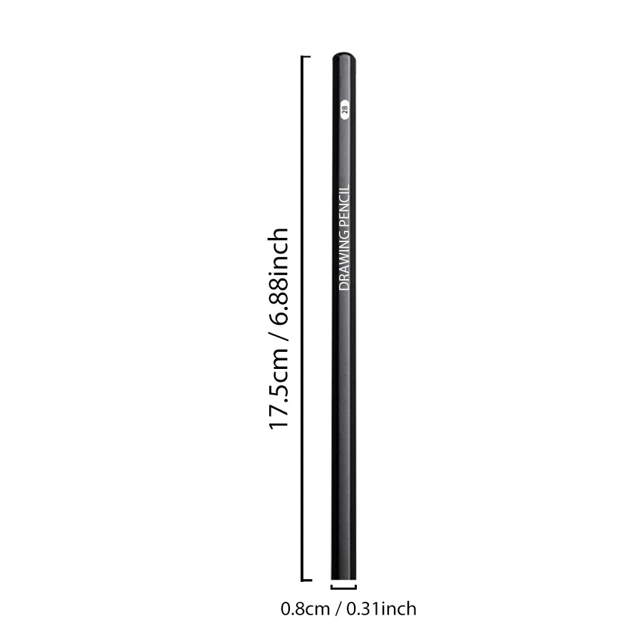Professional Sketch Drawing Graphite Charcoal Pencils Set