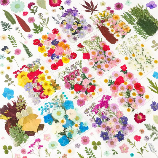 420 Pcs Real Dried Pressed Flowers for Resin