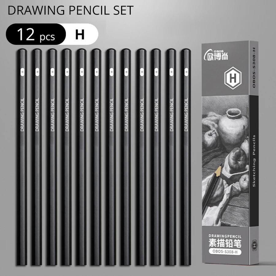 Professional Sketch Drawing Graphite Charcoal Pencils Set