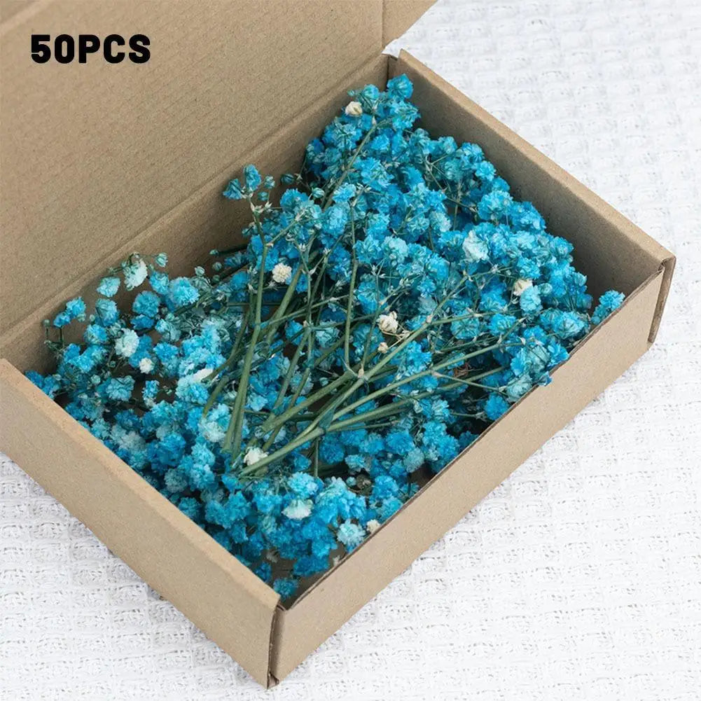 Dried Flowers  Mini Natural Fresh Plant Decoration DIY Valentine's Day Wedding New Year Decoration Breath Resin Craft Party Gift