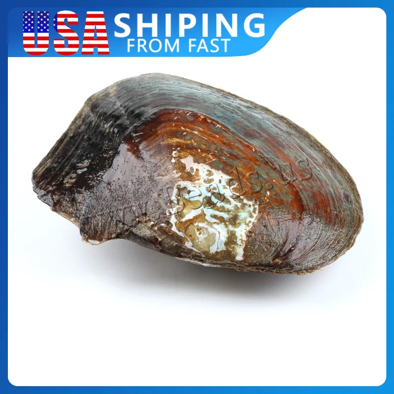 1pc Freshwater Cultured Love-Wish Pearl-Oyster 5-7mm