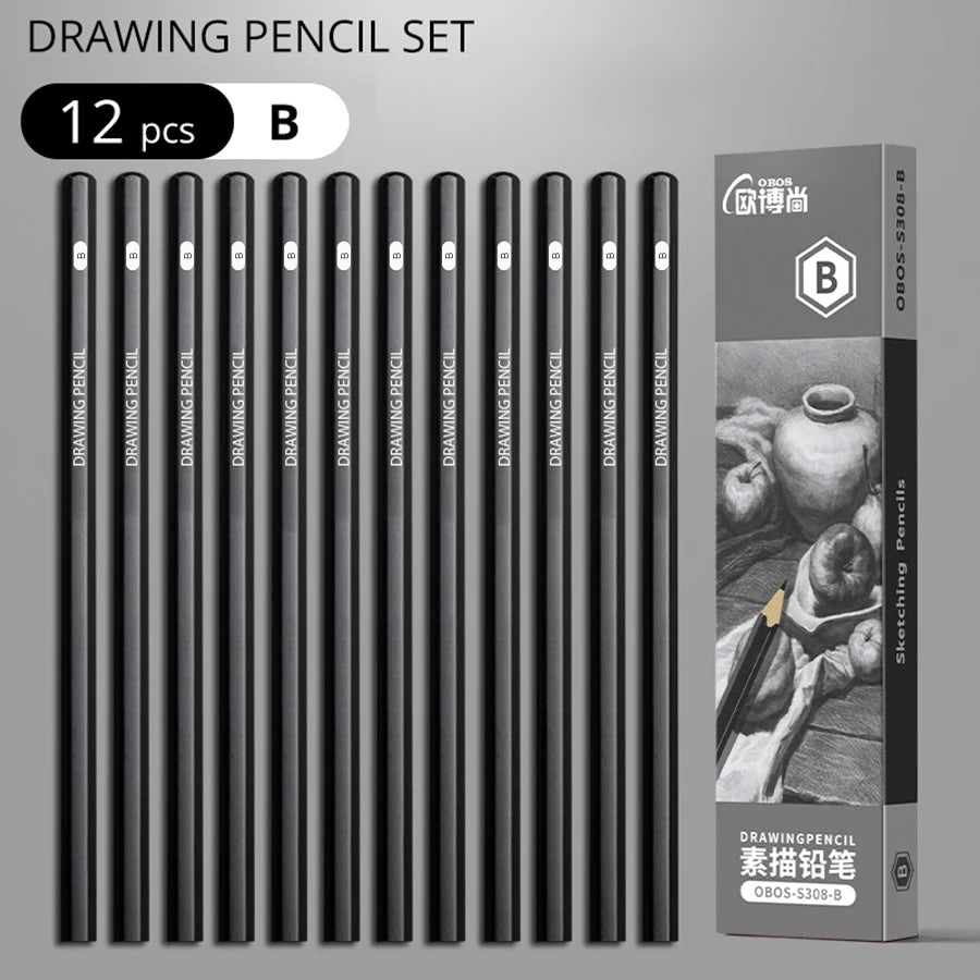 Professional Sketch Drawing Graphite Charcoal Pencils Set