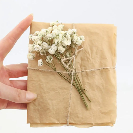 Dried Flowers  Mini Natural Fresh Plant Decoration DIY Valentine's Day Wedding New Year Decoration Breath Resin Craft Party Gift