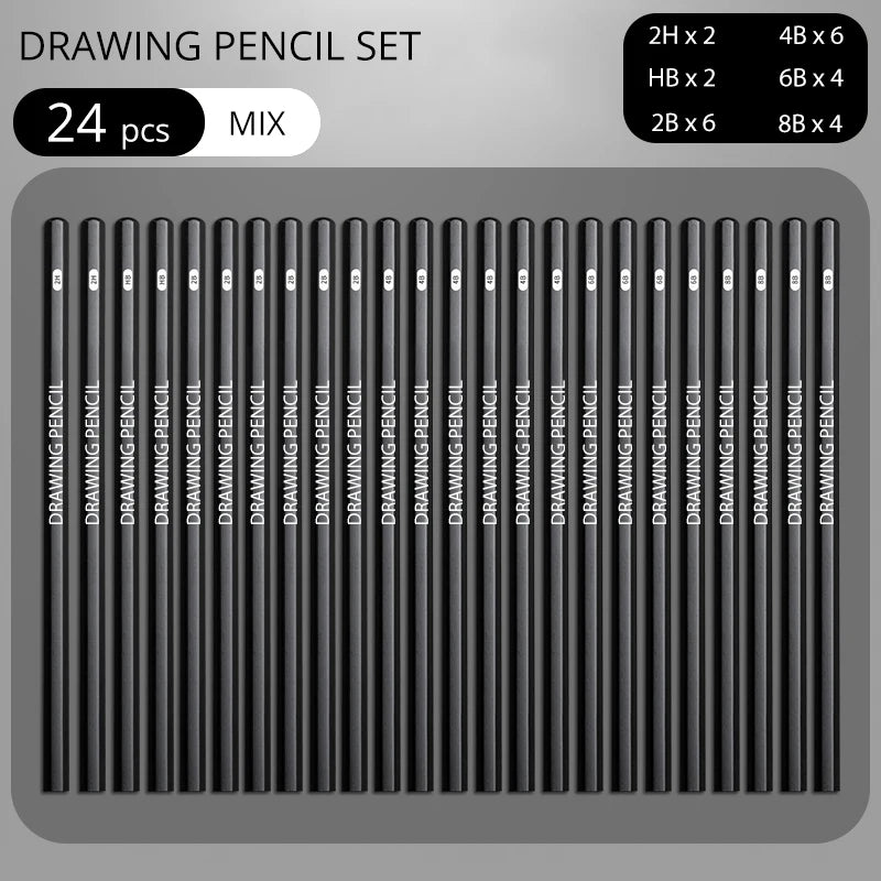 Professional Sketch Drawing Graphite Charcoal Pencils Set