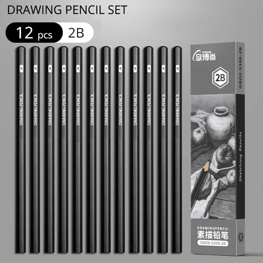 Professional Sketch Drawing Graphite Charcoal Pencils Set