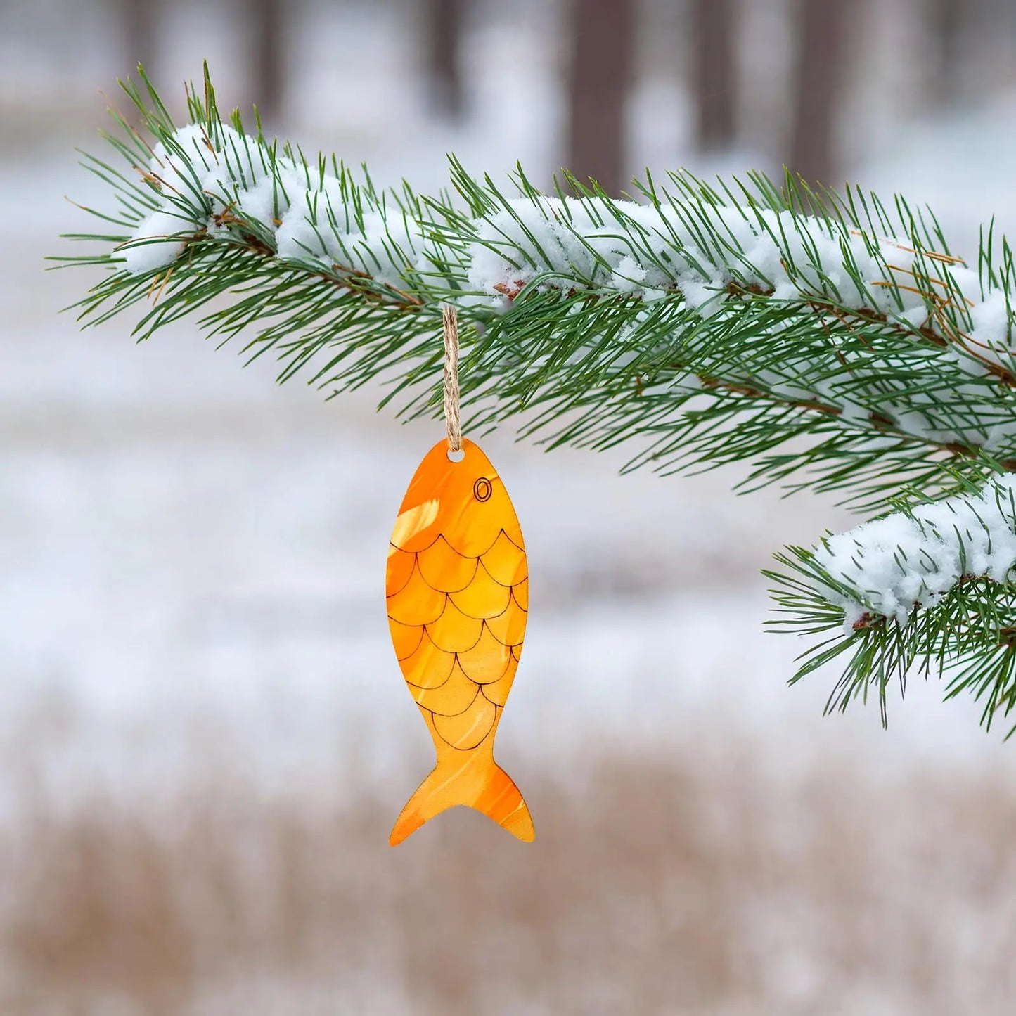 5pcs/set Fish Template Wooden Cutouts