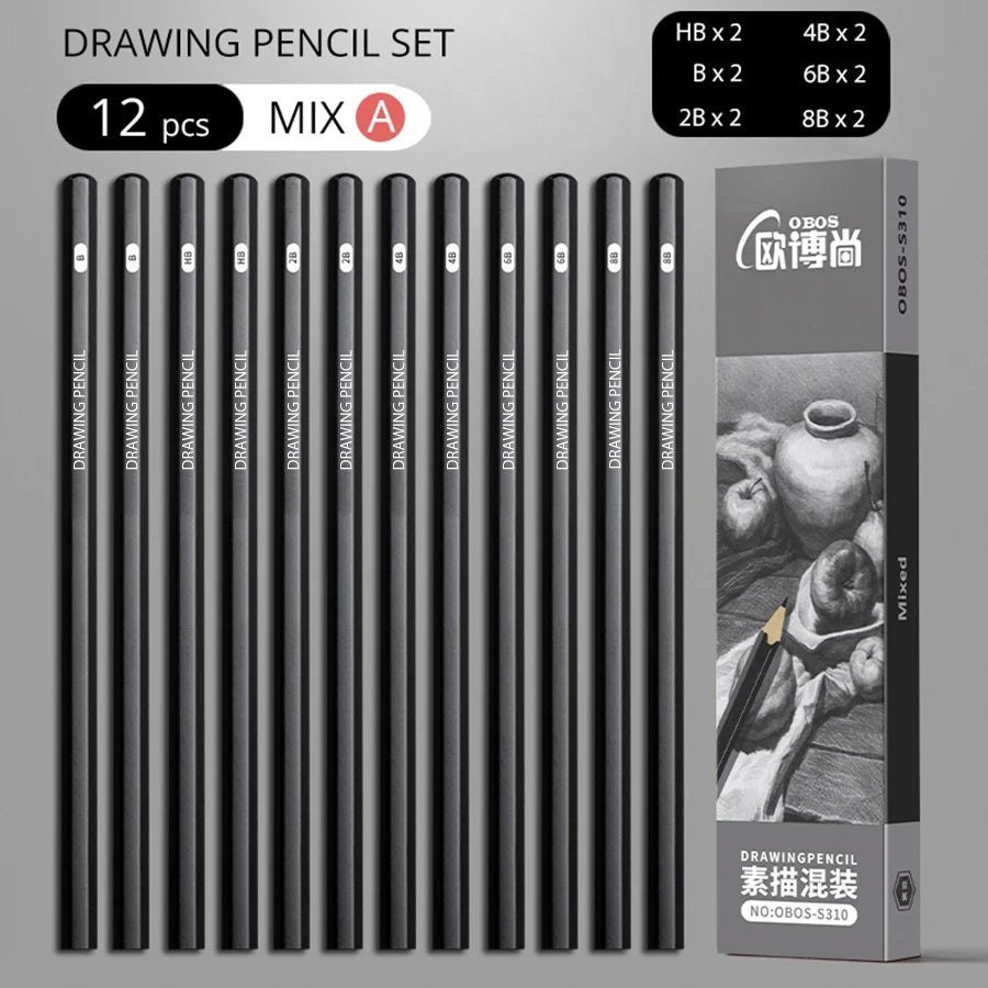 Professional Sketch Drawing Graphite Charcoal Pencils Set