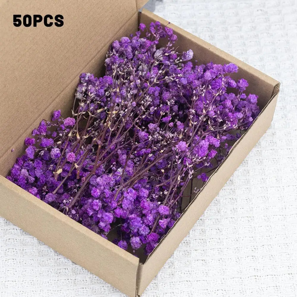 Dried Flowers  Mini Natural Fresh Plant Decoration DIY Valentine's Day Wedding New Year Decoration Breath Resin Craft Party Gift