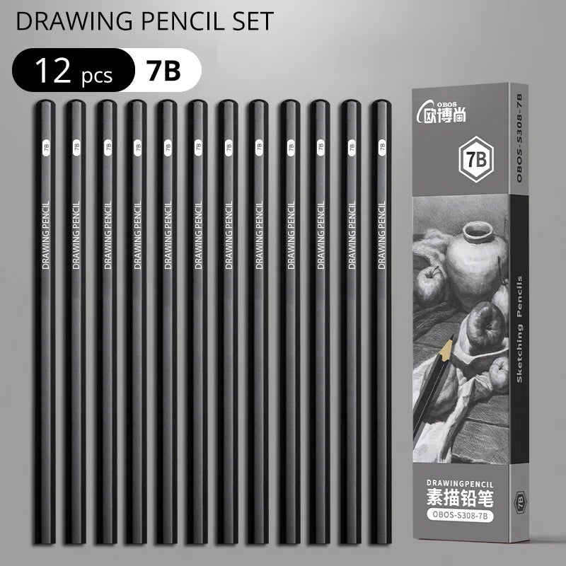 Professional Sketch Drawing Graphite Charcoal Pencils Set