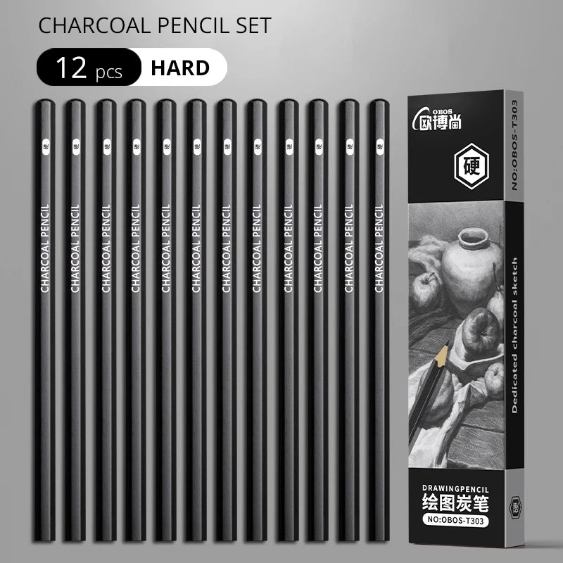 Professional Sketch Drawing Graphite Charcoal Pencils Set