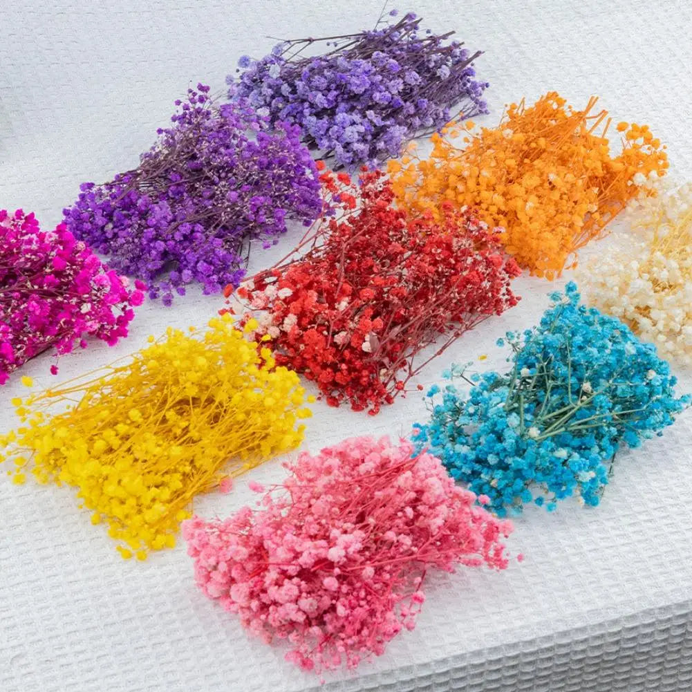 Dried Flowers  Mini Natural Fresh Plant Decoration DIY Valentine's Day Wedding New Year Decoration Breath Resin Craft Party Gift