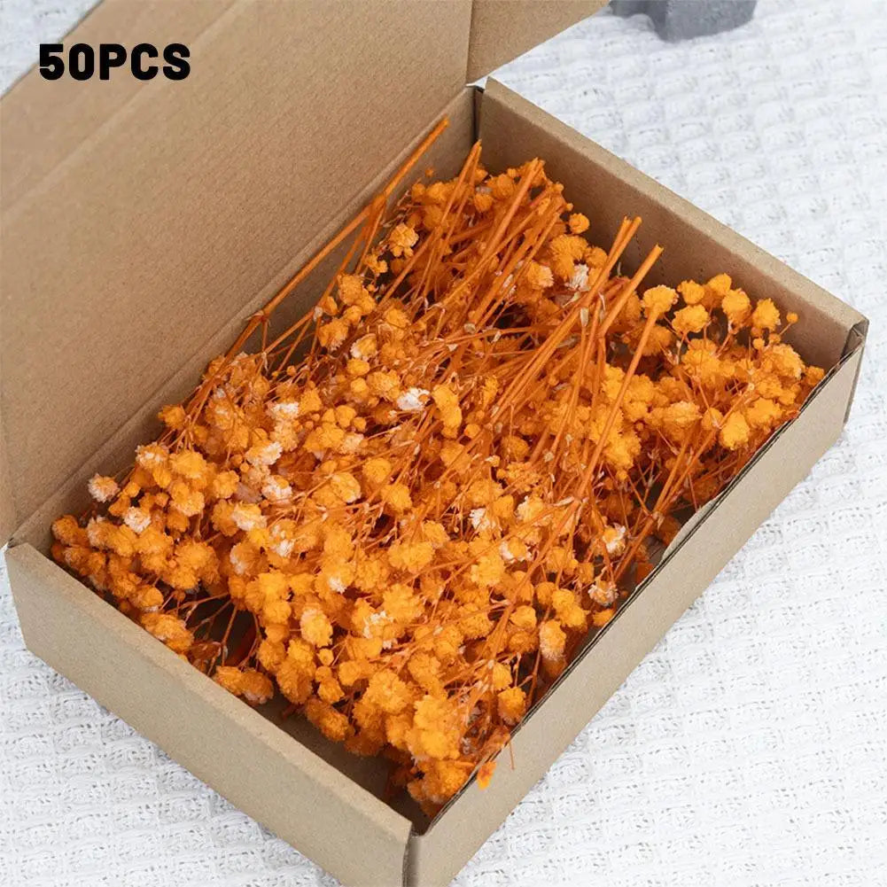 Dried Flowers  Mini Natural Fresh Plant Decoration DIY Valentine's Day Wedding New Year Decoration Breath Resin Craft Party Gift