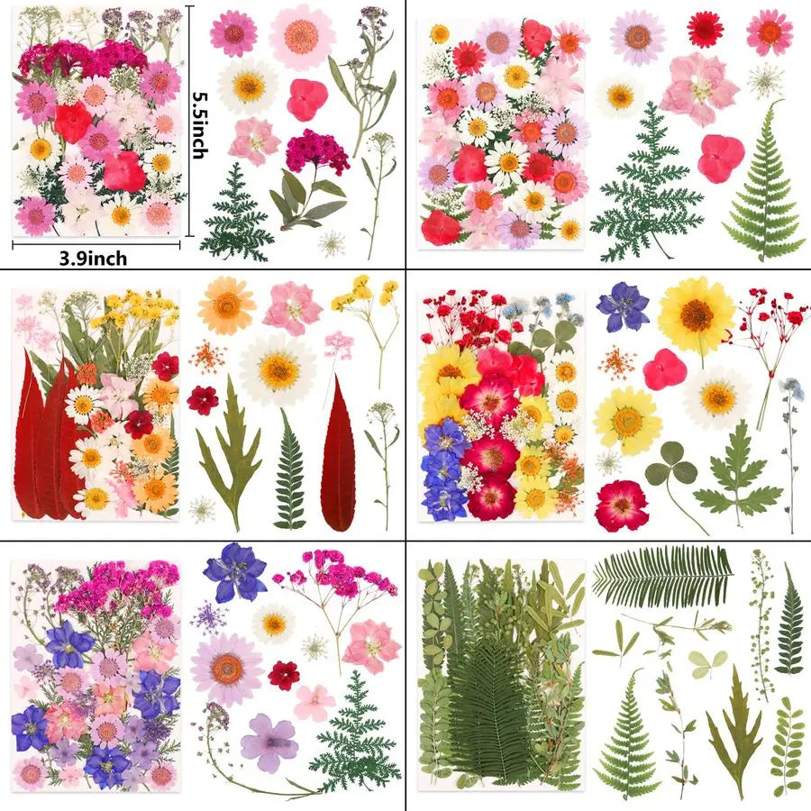 420 Pcs Real Dried Pressed Flowers for Resin