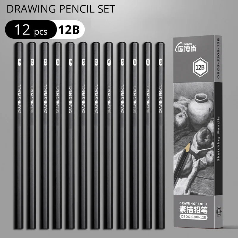 Professional Sketch Drawing Graphite Charcoal Pencils Set