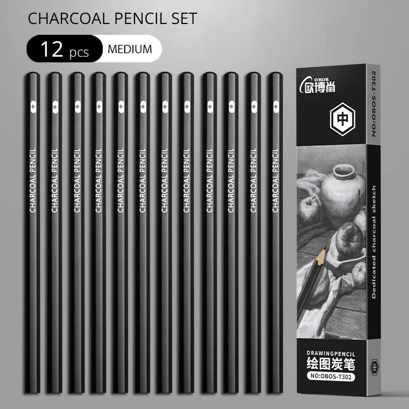 Professional Sketch Drawing Graphite Charcoal Pencils Set