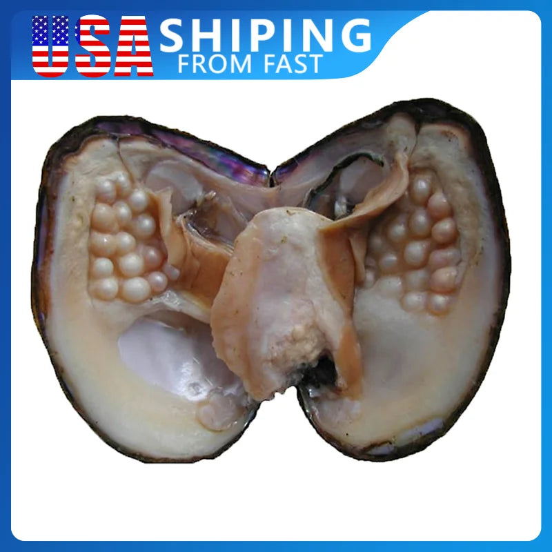 1pc Freshwater Cultured Love-Wish Pearl-Oyster 5-7mm