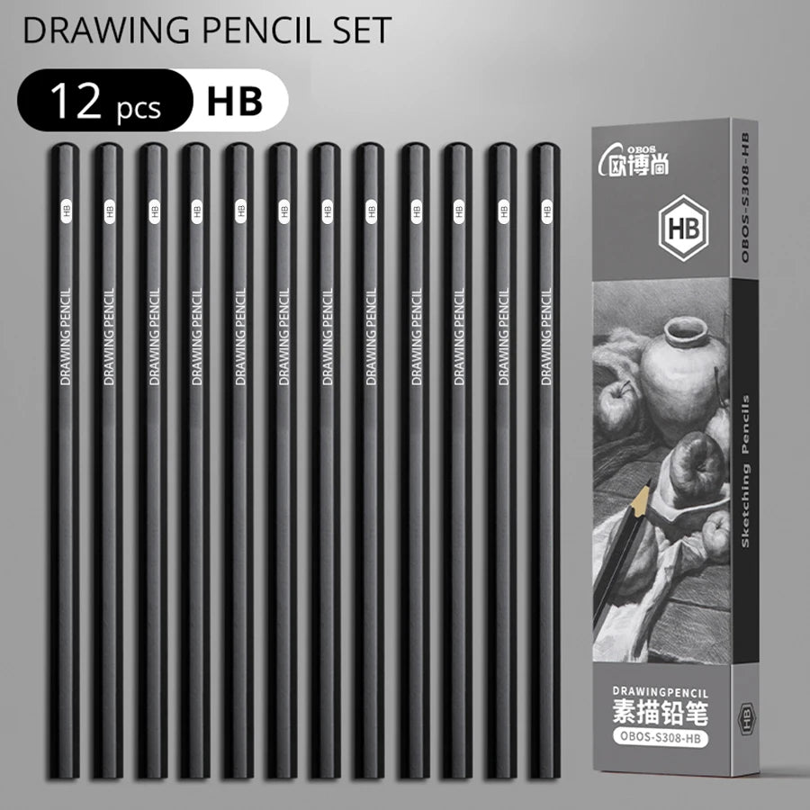 Professional Sketch Drawing Graphite Charcoal Pencils Set