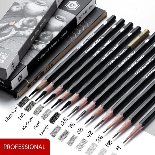 Professional Sketch Drawing Graphite Charcoal Pencils Set