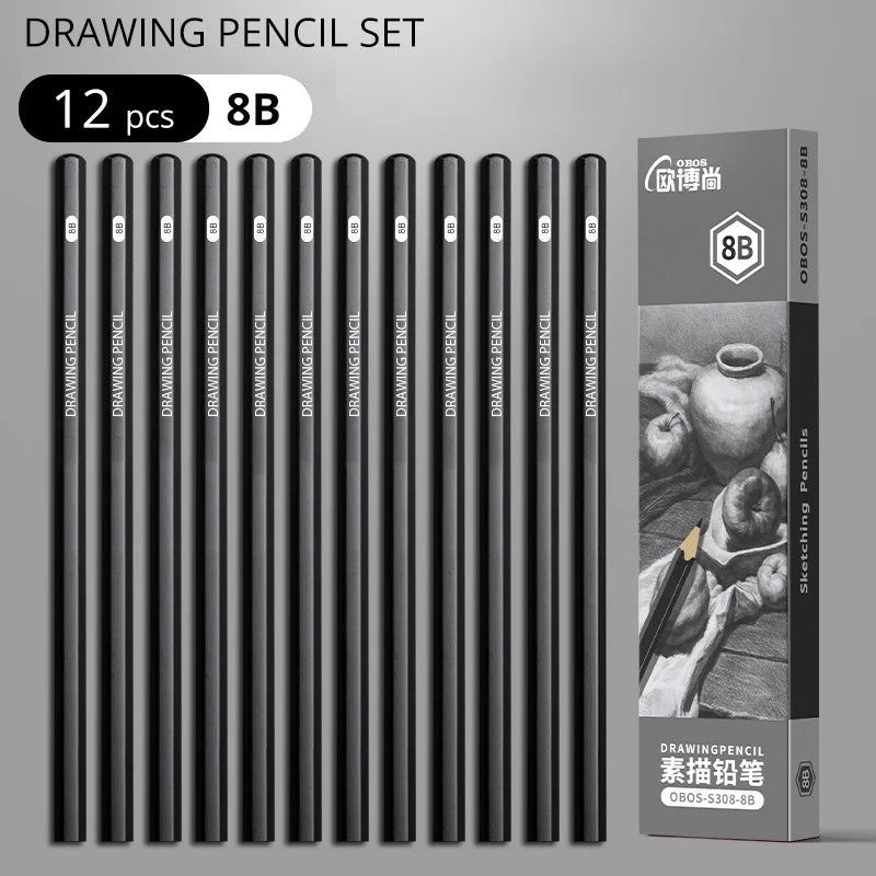 Professional Sketch Drawing Graphite Charcoal Pencils Set