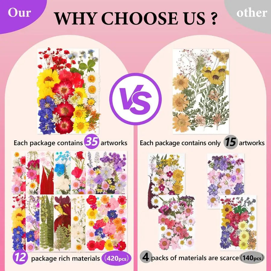 420 Pcs Real Dried Pressed Flowers for Resin