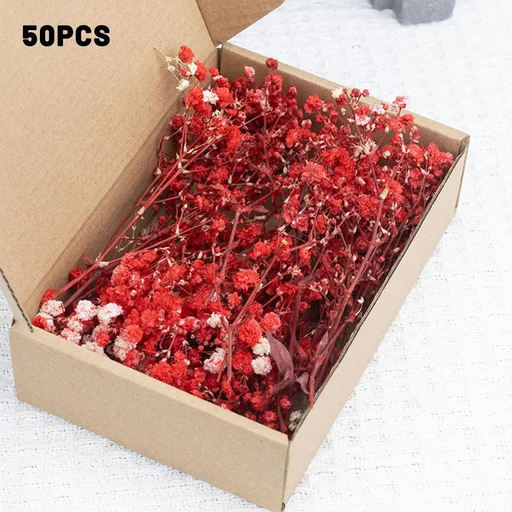Dried Flowers  Mini Natural Fresh Plant Decoration DIY Valentine's Day Wedding New Year Decoration Breath Resin Craft Party Gift