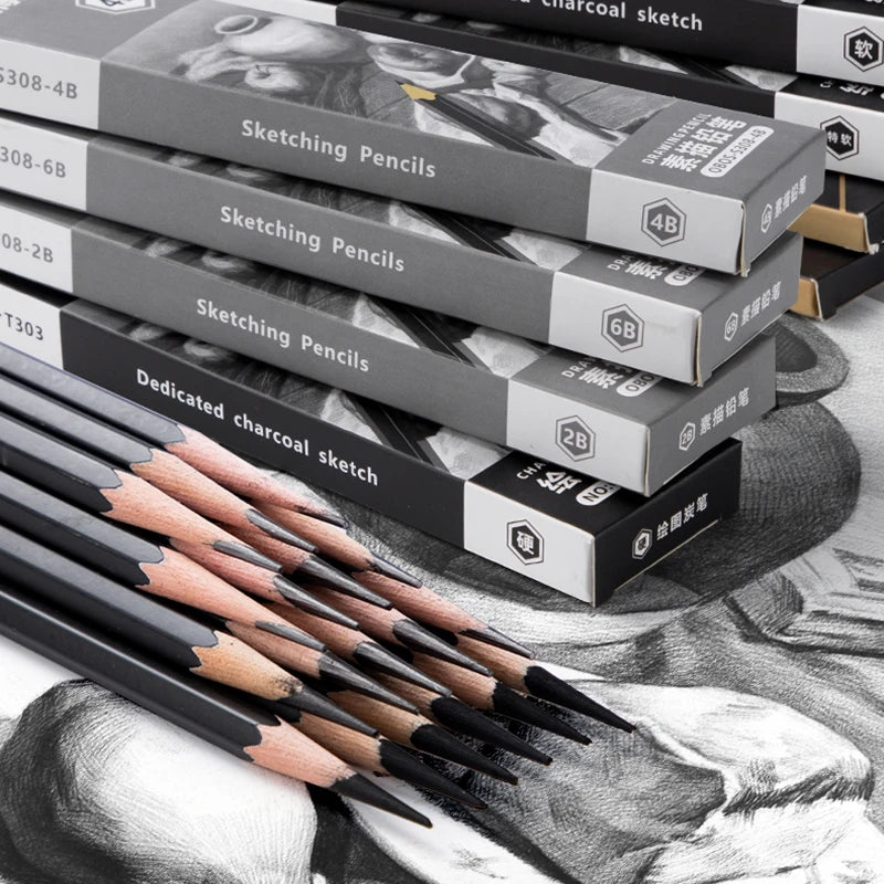 Professional Sketch Drawing Graphite Charcoal Pencils Set