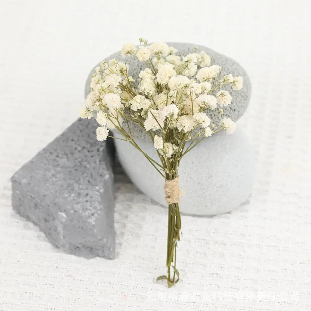 Dried Flowers  Mini Natural Fresh Plant Decoration DIY Valentine's Day Wedding New Year Decoration Breath Resin Craft Party Gift