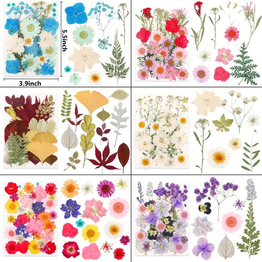 420 Pcs Real Dried Pressed Flowers for Resin